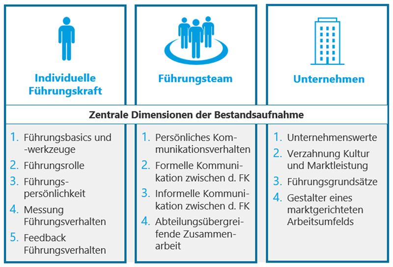 FANOMICS Führungs- und Kultur-Check